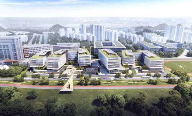 深圳高新區新聞網站建設(深圳市高新區開發建設公司)