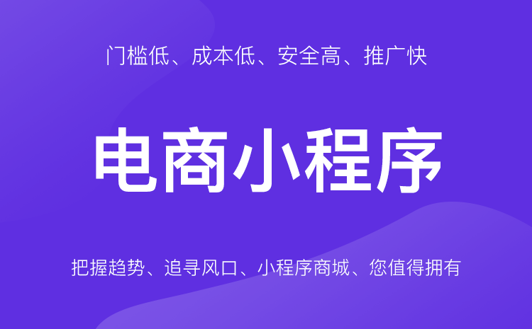 什么定制小程序開發(小程序定制開發什么意思)
