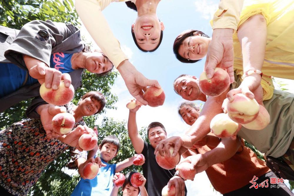 包含互聯(lián)網(wǎng)大桃最新消息的詞條