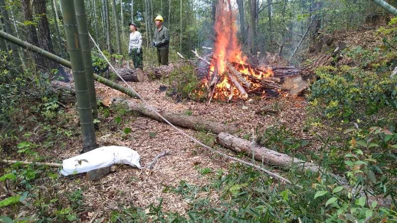 馬頭山互聯網新聞(馬山新聞網今日新聞)