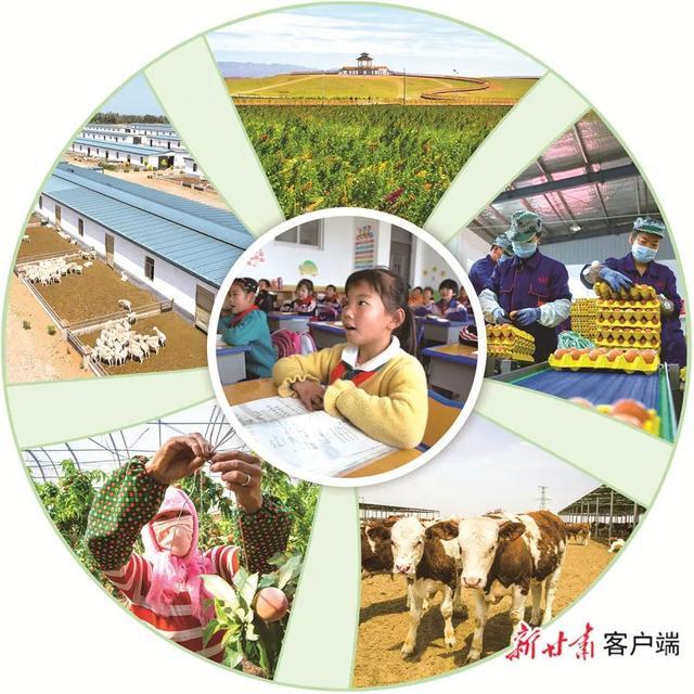 武威互聯(lián)網(wǎng)新聞(今日武威新聞直播)