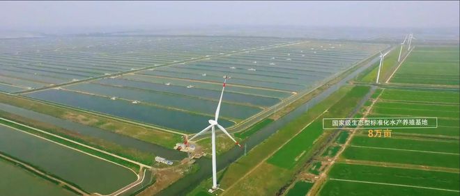 互聯(lián)網(wǎng)漁業(yè)最新消息(互聯(lián)網(wǎng)漁業(yè)最新消息公布)