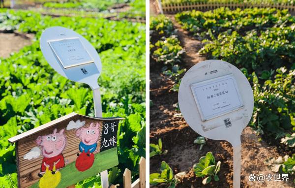 運(yùn)城智慧農(nóng)場(chǎng)小程序開(kāi)發(fā)(運(yùn)城智慧農(nóng)場(chǎng)小程序開(kāi)發(fā)方案)