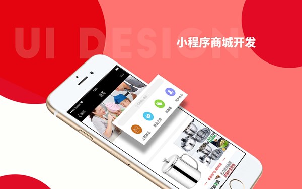 河東小程序開發定制系統(河東小程序開發定制系統有哪些)