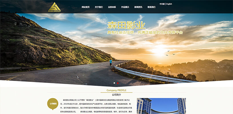 國外電影網站建設(國外有哪些好的電影網站)