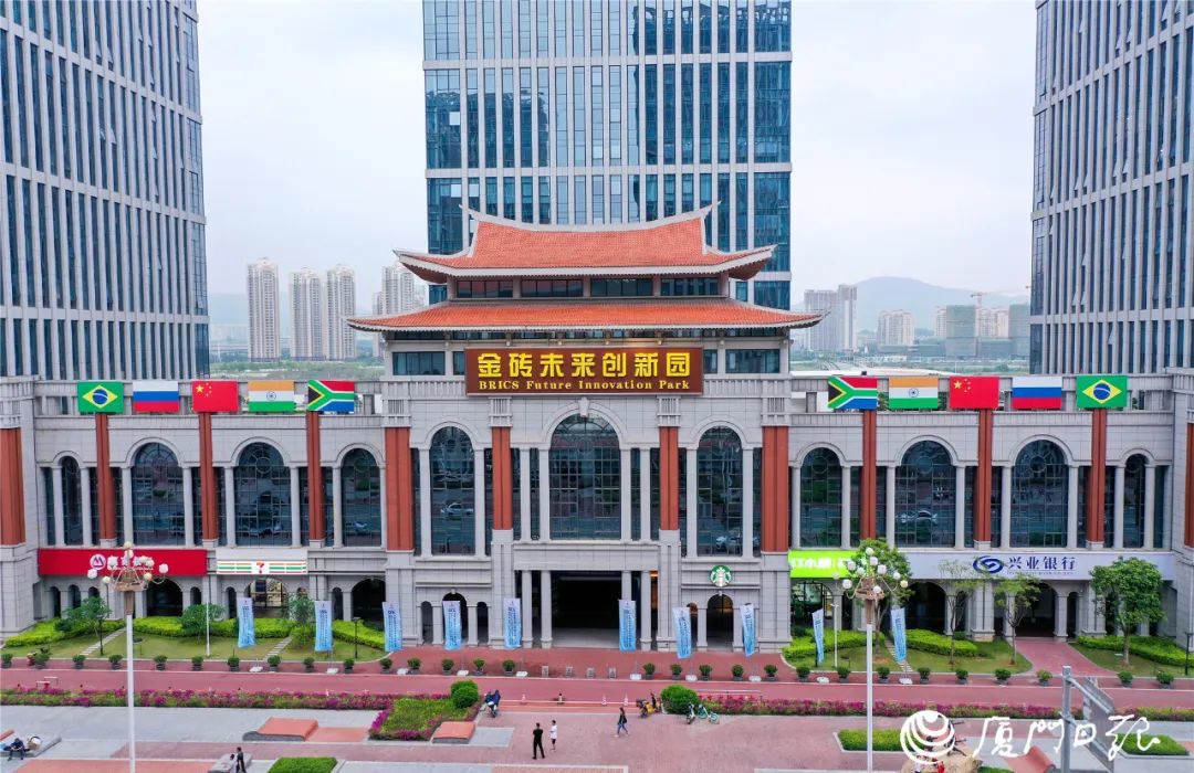 廈門互聯網新聞(廈門互聯網協會會長)