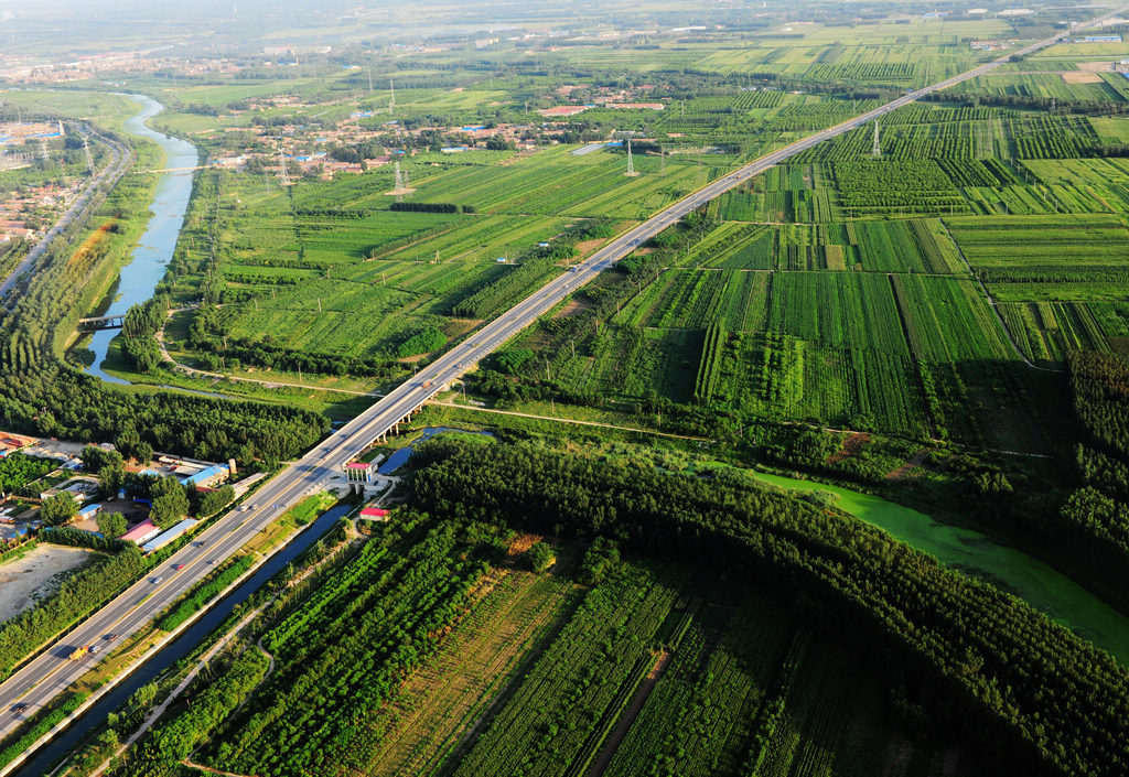 廊坊網站建設信息(廊坊建設工程交易信息網)