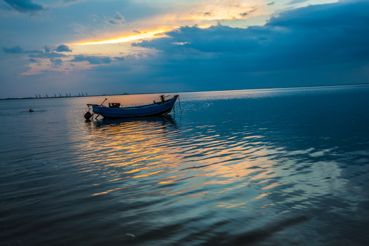 鲅魚圈網站建設(鲅魚圈網站建設招標)