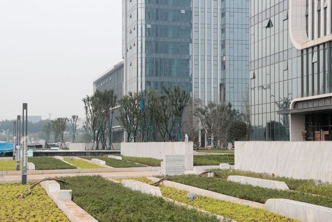 互聯網樂山新聞(四川樂山新聞網頭條)