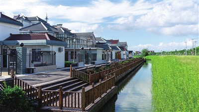 包含崇明網(wǎng)站建設(shè)的詞條