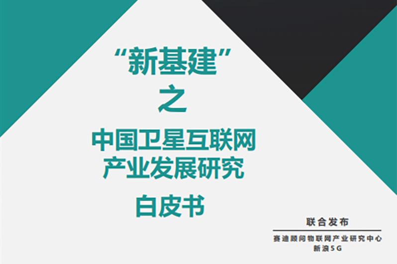 互聯網白皮書新聞(互聯網白皮書是什么意思)