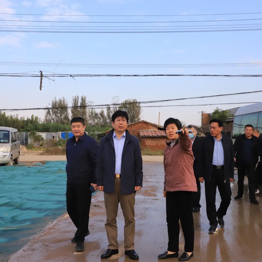 寧晉附近網站建設(寧晉附近網站建設銀行網點)