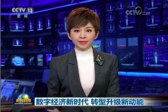 包含互聯網大會中央新聞聯播的詞條