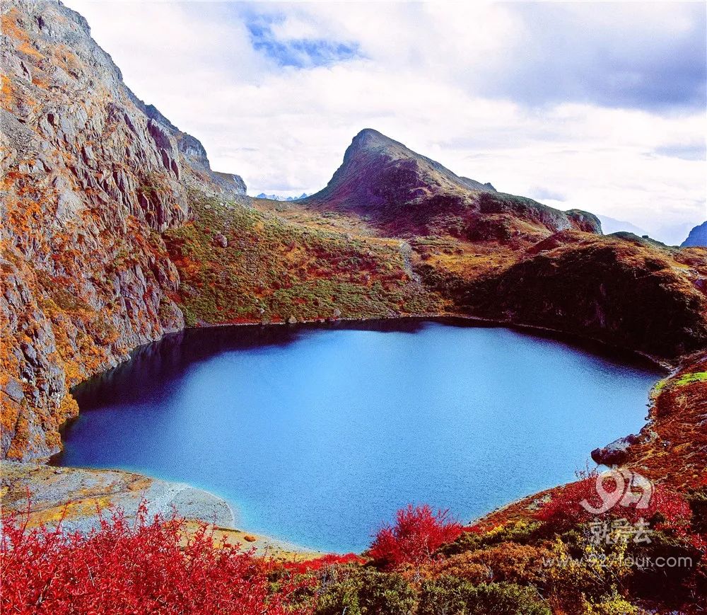 云南旅游網站建設(云南旅游網站建設方案)