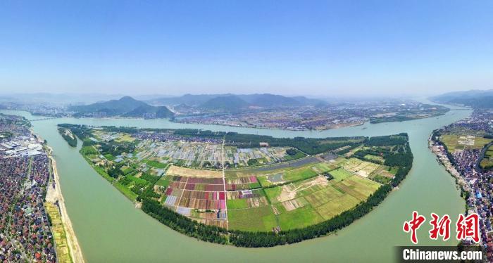 中國互聯網新聞中心左鋼(中國互聯網新聞中心中國網)