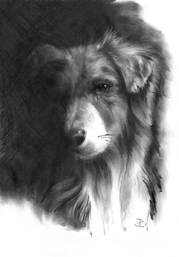 娛樂新聞網站建設論文范文(娛樂新聞網站建設論文范文大全)