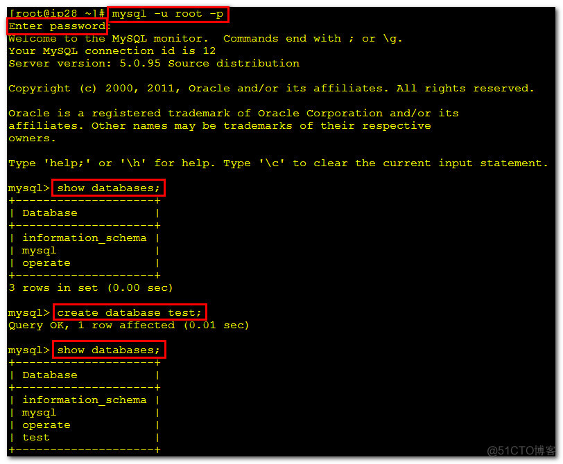 數據庫網站建設(數據庫網站建設實驗報告)