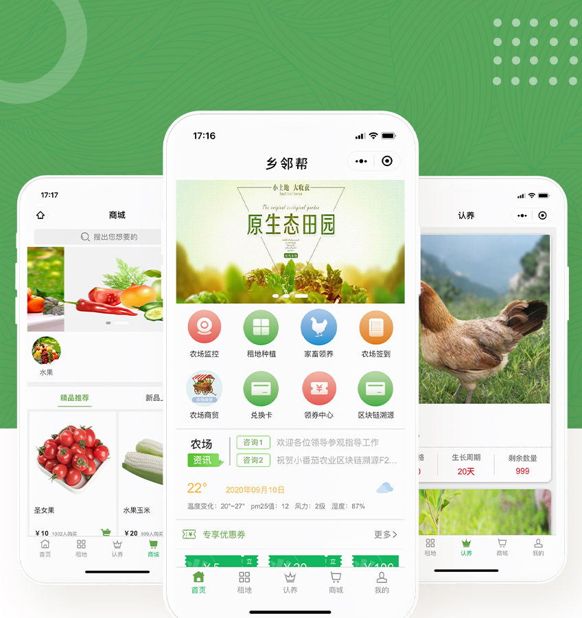 云植樹小程序開發(fā)(云植樹小程序開發(fā)方案)