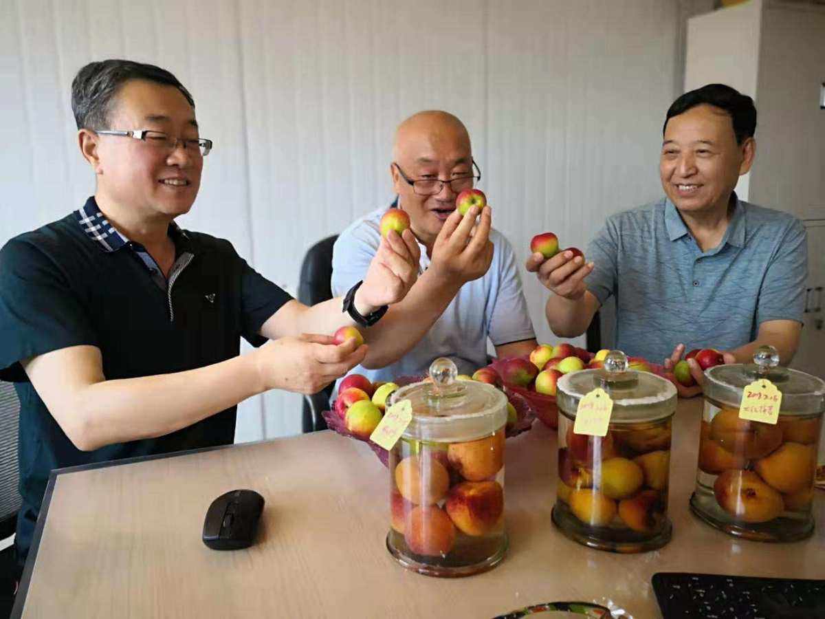 關(guān)于寧夏互聯(lián)網(wǎng)新聞中心米紅梅的信息