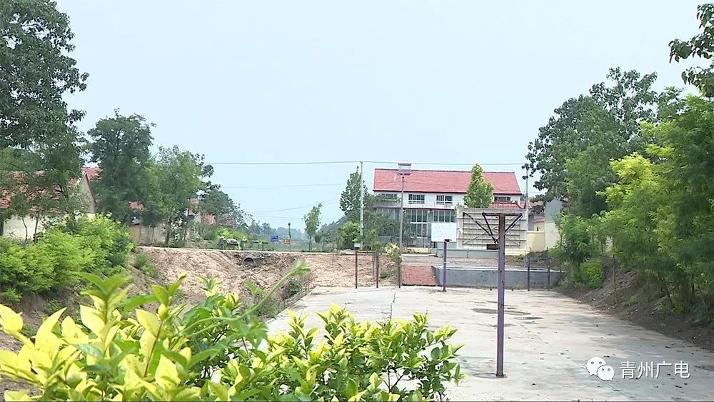 青州農村建設新聞網站(青州農村建設新聞網站首頁)