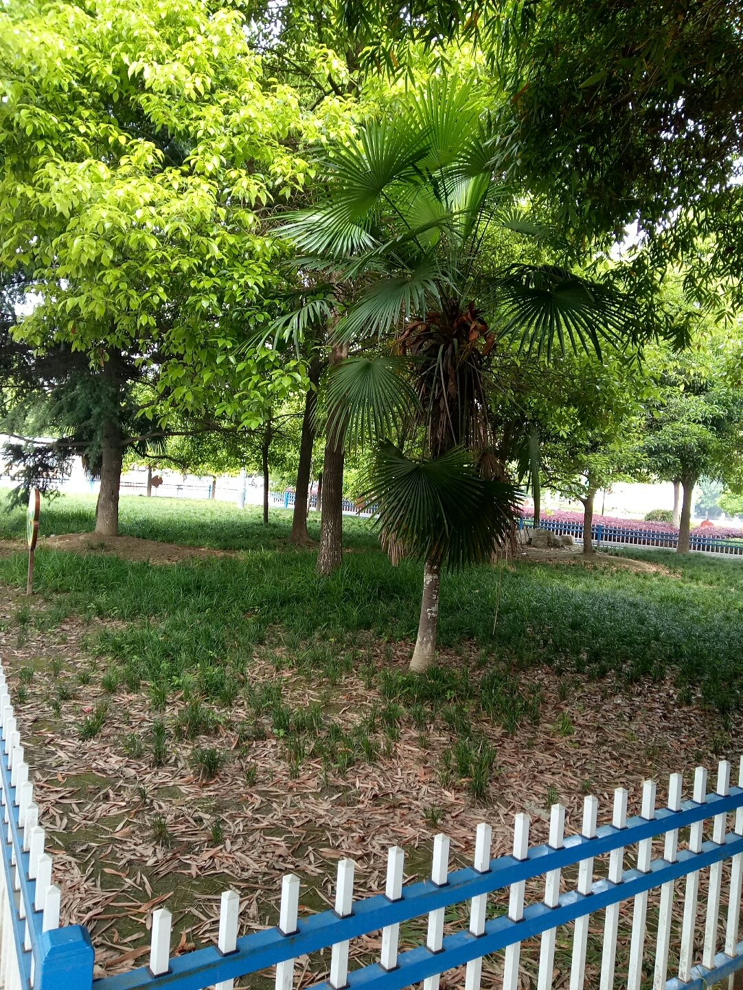 潛江網(wǎng)站建設(shè)手機(jī)(潛江手機(jī)資訊網(wǎng)招聘)