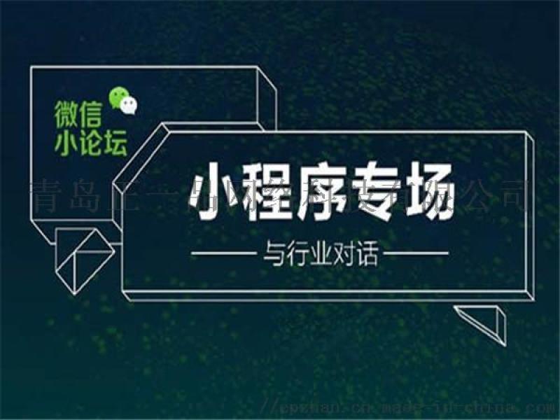 開發設計小程序(專業小程序開發公司設計方案)