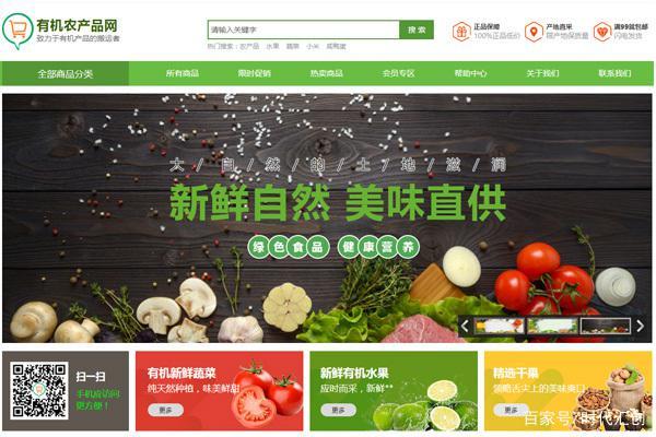 成都網站建設要點(成都網站建設方案咨詢)