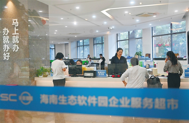 海南互聯網新聞信息(海南省互聯網+監管系統)